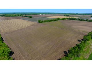 Property photo 5 - LAND AUCTION - 492+/- ACRES OFFERED IN 7 TRACTS IN SULLIVAN & KNOX COUNTIES, INDIANA